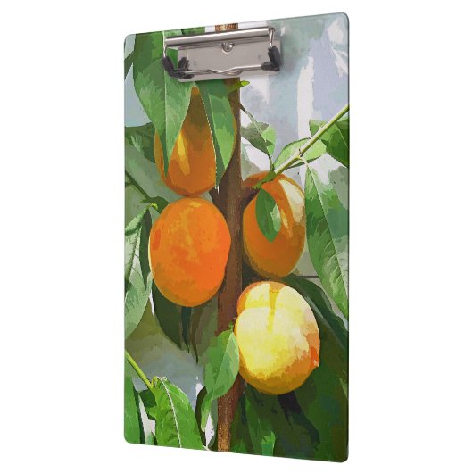 PORTE-BLOC PÊCHES (Gauche)