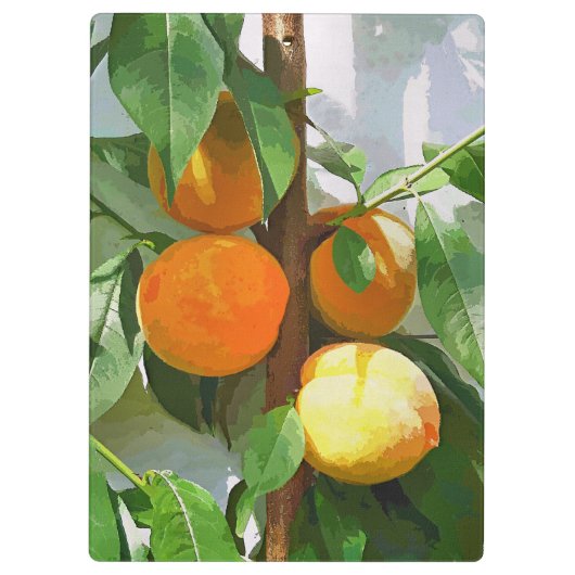 PORTE-BLOC PÊCHES (Dos)