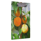 PORTE-BLOC PÊCHES (Swatch)