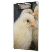 Porte-bloc Peeps (Gauche)