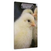 Porte-bloc Peeps (Swatch)