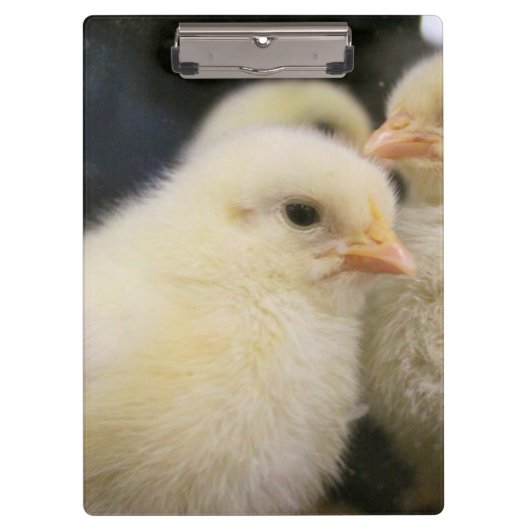 Porte-bloc Peeps (Devant)