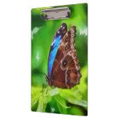 Porte-bloc Peinture à papillon (Gauche)