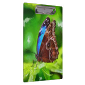 Porte-bloc Peinture à papillon (Swatch)