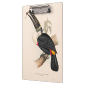 Porte-bloc Peinture animalière d'antiquités Toucans (Gauche)