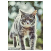 Porte-bloc Peinture de chat (Dos)