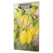 Porte-bloc Peinture de citrons (Gauche)