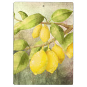 Porte-bloc Peinture de citrons (Dos)