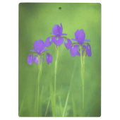 Porte-bloc Peinture Iris Violet - Art Fleur Originale (Dos)
