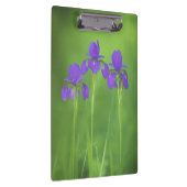 Porte-bloc Peinture Iris Violet - Art Fleur Originale (Swatch)