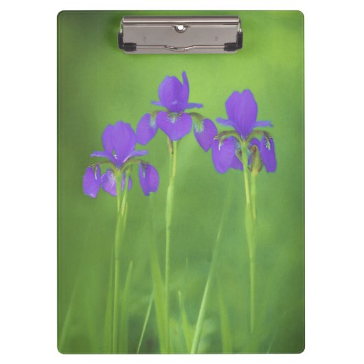 Porte-bloc Peinture Iris Violet - Art Fleur Originale (Devant)