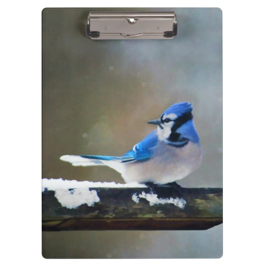 Porte-bloc Peinture Jay Bleu - Art Oiseau Original (Devant)