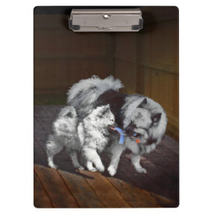 Porte-bloc Peinture Keeshond Playtime - Jolie art original ch