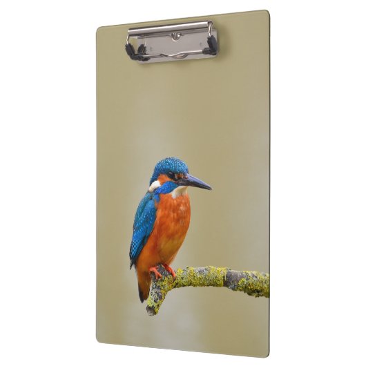 Porte-bloc Perching Kingfisher (Gauche)