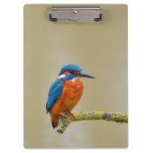 Porte-bloc Perching Kingfisher (Devant)