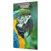 Porte-bloc Perroquet coloré d'ara (Gauche)