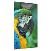 Porte-bloc Perroquet coloré d'ara (Swatch)