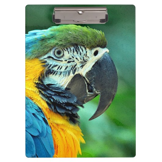Porte-bloc Perroquet coloré d'ara (Devant)