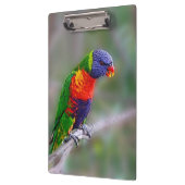 Porte-bloc Perroquet macaou coloré (Gauche)
