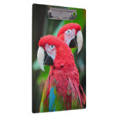 Porte-bloc Perroquets de macaw colorés (Swatch)