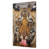 Porte-bloc Petit animal de tigre royal de Bengale, eau (Gauche)