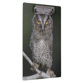 Porte-bloc Petit-duc de l'Est, Megascops asio, Otus 2 (Swatch)