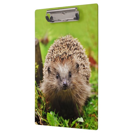 Porte-bloc Petit hérisson mignon dans la forêt (Gauche)