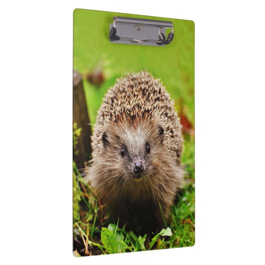 Porte-bloc Petit hérisson mignon dans la forêt (Swatch)