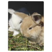 Porte-bloc Petit lapin moelleux (Dos)