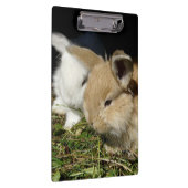 Porte-bloc Petit lapin moelleux (Swatch)