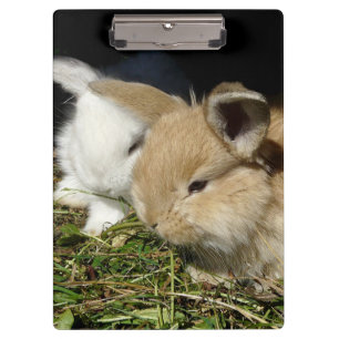 Porte-bloc Petit lapin moelleux