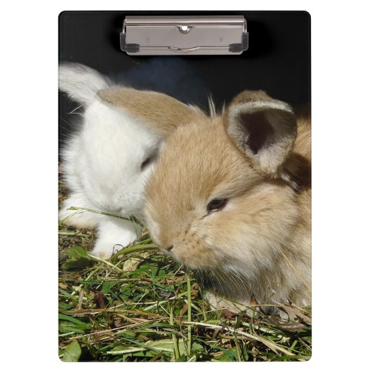 Porte-bloc Petit lapin moelleux (Devant)