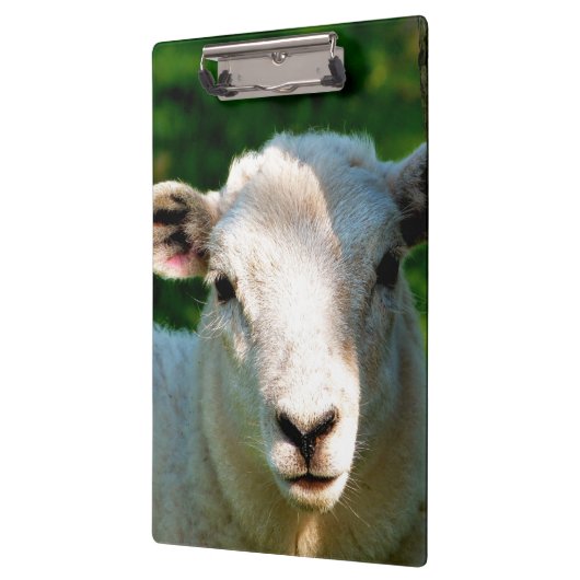 PORTE-BLOC PETIT MOQUETTE (Gauche)