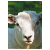 PORTE-BLOC PETIT MOQUETTE (Dos)