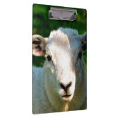 PORTE-BLOC PETIT MOQUETTE (Swatch)