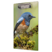 Porte-bloc Petit oiseau bleu (Gauche)