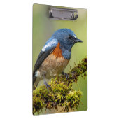 Porte-bloc Petit oiseau bleu (Swatch)