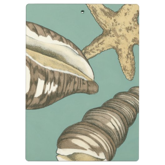 Porte-bloc Petit trio Shell Turquoise (Dos)