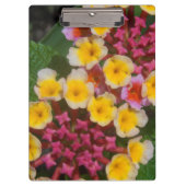 Porte-bloc Petites Fleurs Tropicales Jaunes Aux Bureaux Roses (Devant)