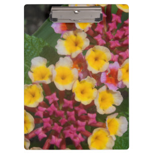 Porte-bloc Petites Fleurs Tropicales Jaunes Aux Bureaux Roses
