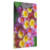 Porte-bloc Petites fleurs tropicales roses et violettes jaune (Swatch)