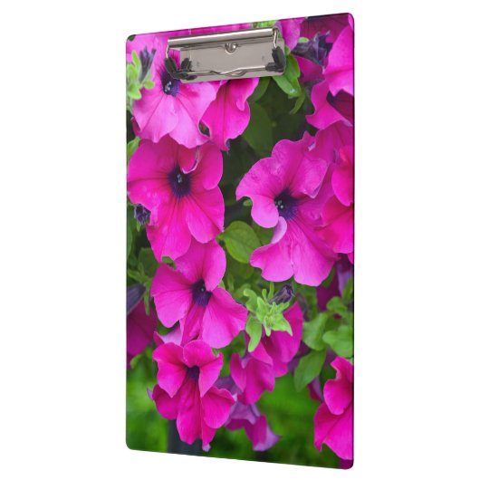 Porte-bloc Pétunias pourpre (Gauche)