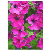 Porte-bloc Pétunias pourpre (Dos)