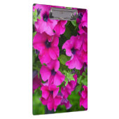 Porte-bloc Pétunias pourpre (Swatch)