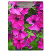 Porte-bloc Pétunias pourpre (Devant)