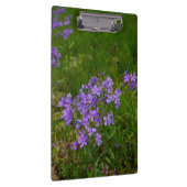 Porte-bloc Phlox bleu sauvage (Swatch)