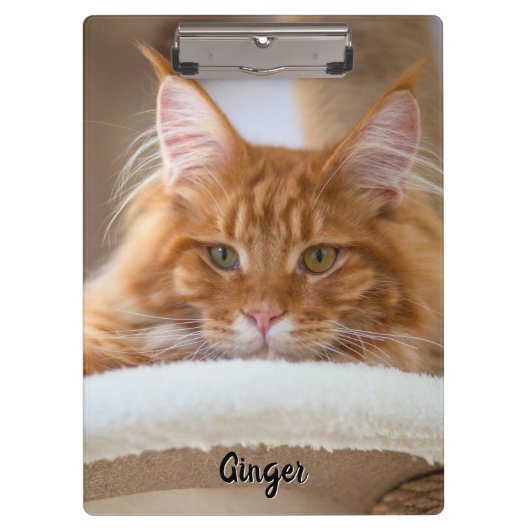 Porte-bloc Photo de deux chats (Devant)