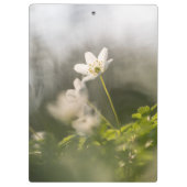 Porte-bloc Photo de la nature des fleurs blanches (Dos)