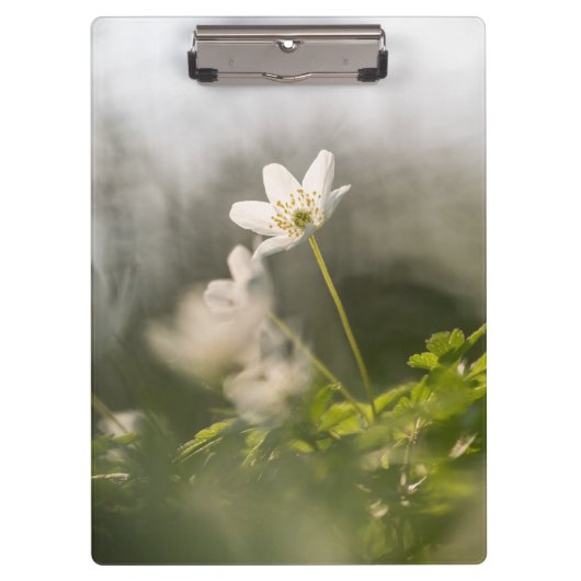 Porte-bloc Photo de la nature des fleurs blanches (Devant)