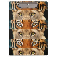 Photo de yeux de tigre et de lion